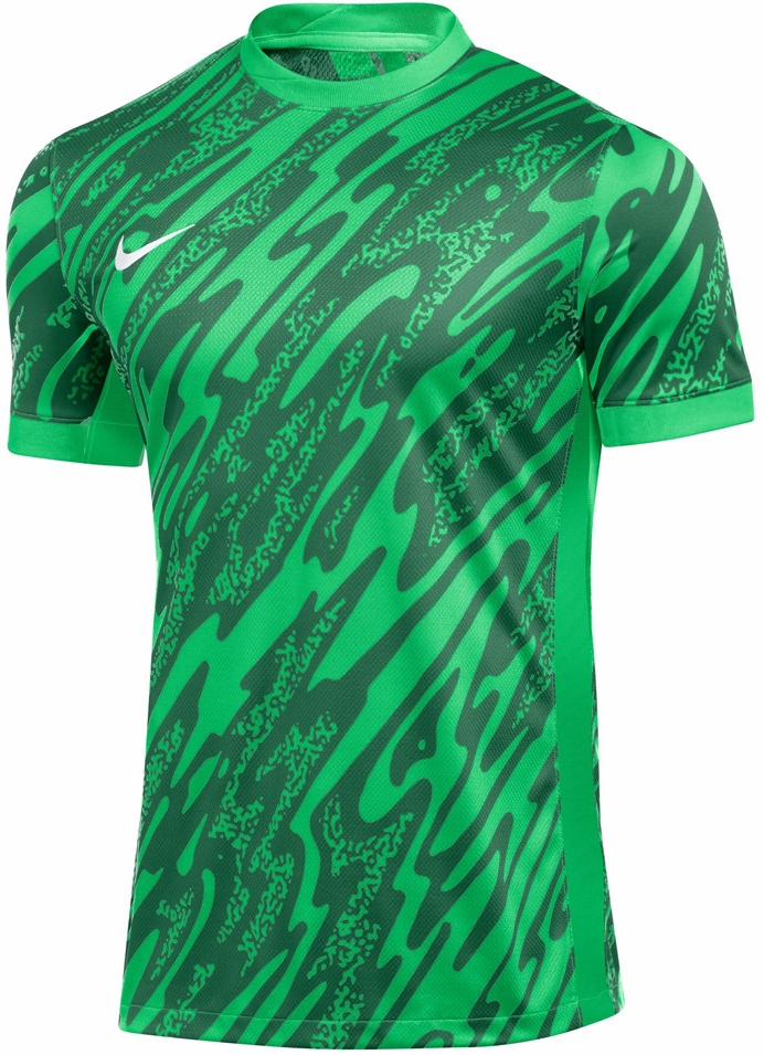 Dres Nike Nike Gardien V GK Soccer Jersey Zelena | fd7482-329