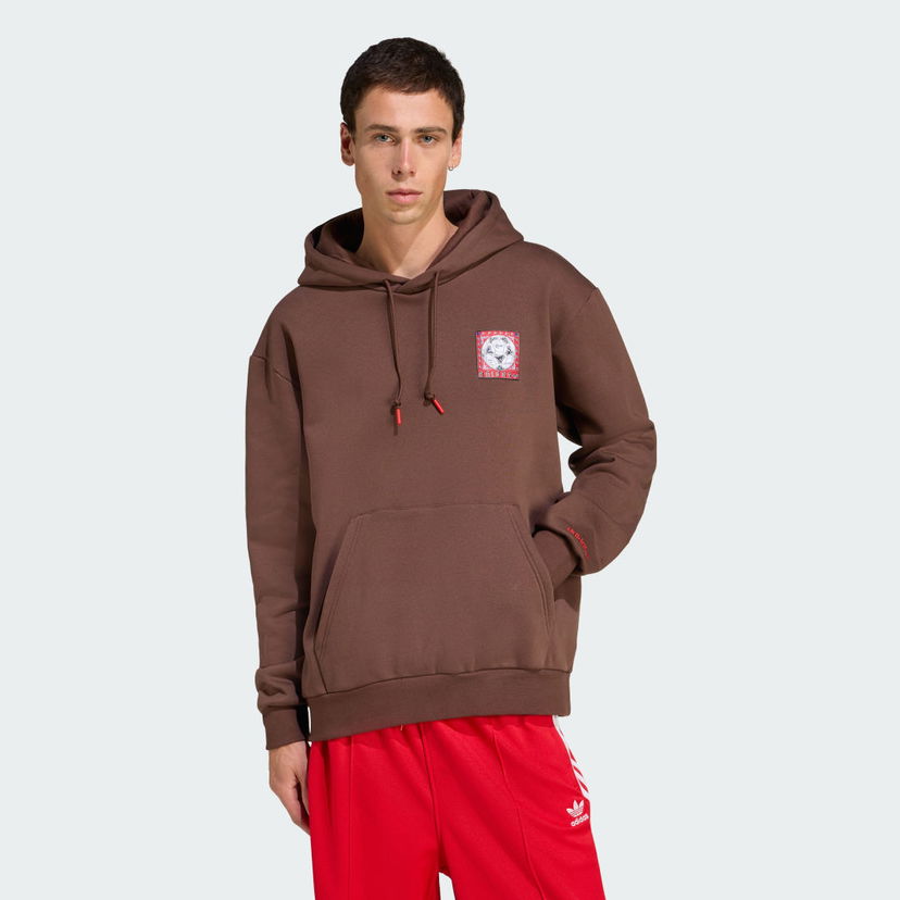 Pulover adidas Performance Graphic Hoodie Rjava | JX3095