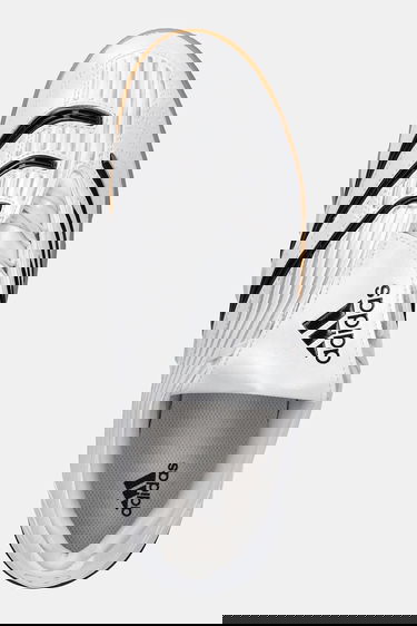 Superge in čevlji adidas Performance Predator Sala Bela | JQ3915, 4