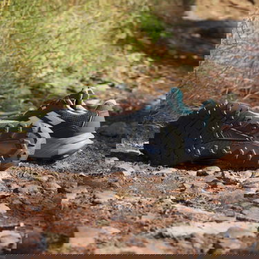 Superge in čevlji adidas Performance adidas TERREX Boty Tracefinder Trail Running Črna | IE5909, 4