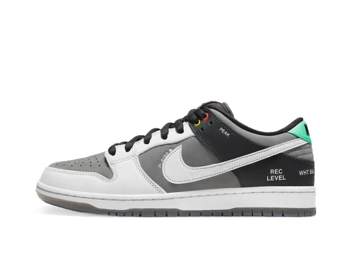 Skateboarding Nike SB Dunk Low SB "Camcorder" Siva | CV1659-001