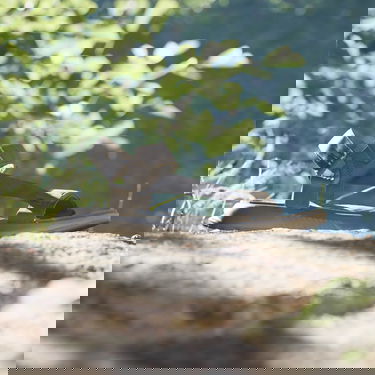 Superge in čevlji adidas Performance Terrex Hydroterra Light Črna | ID4273, 3