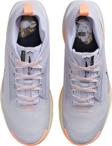 Superge in čevlji Nike Pegasus Trail 5 GORE-TEX Večbarvna | fq0912-011, 2