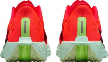Superge in čevlji Nike Pegasus Plus Rdeča | fq7262-600, 1