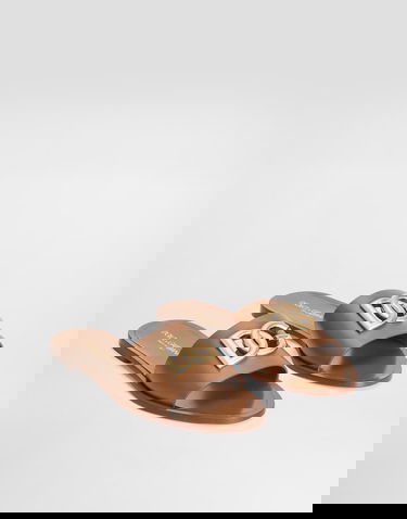 Modni dodatki Dolce & Gabbana Dolce & Gabbana Calfskin Flat Slides with Gold Hardware Rjava | CQ0619AW5768Z093, 1