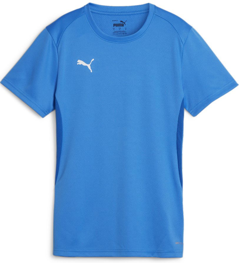 Dres Puma teamGOAL Jersey W Modra | 658638-02
