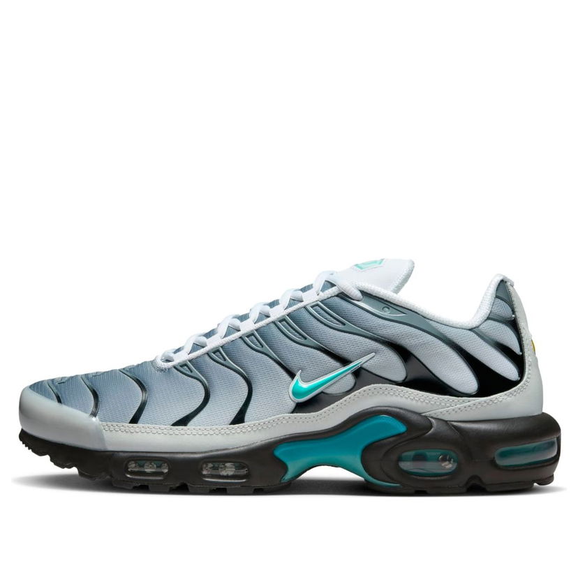 Superge in čevlji Nike One Block Down Air Max Plus Siva | FZ3308-001
