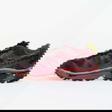 Superge in čevlji Salomon XT-4 OG R.A.D Lila | L47747200, 0
