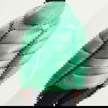 Parka The North Face Women's Summit Pumori Down Parka, Size Large Zelena | NF0A8C9KBOY, 3