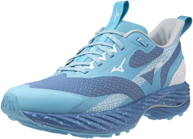 Superge in čevlji Mizuno Mizuno WAVE RIDER TT 2 Modra | j1gd243221, 3