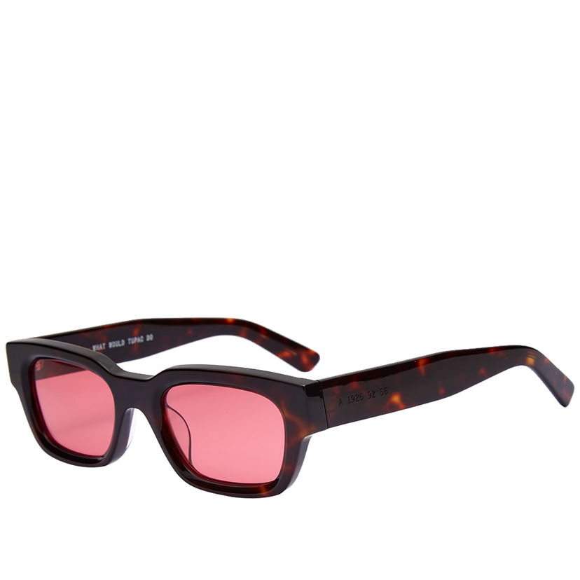 Sončna očala AKILA AKILA Zed Sunglasses Rjava | A1925-92-56