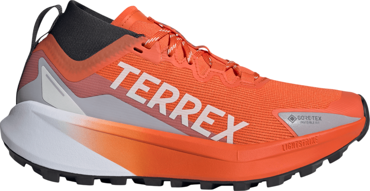 Superge in čevlji adidas Performance Terrex Agravic GTX Oranžna | jr5248, 0