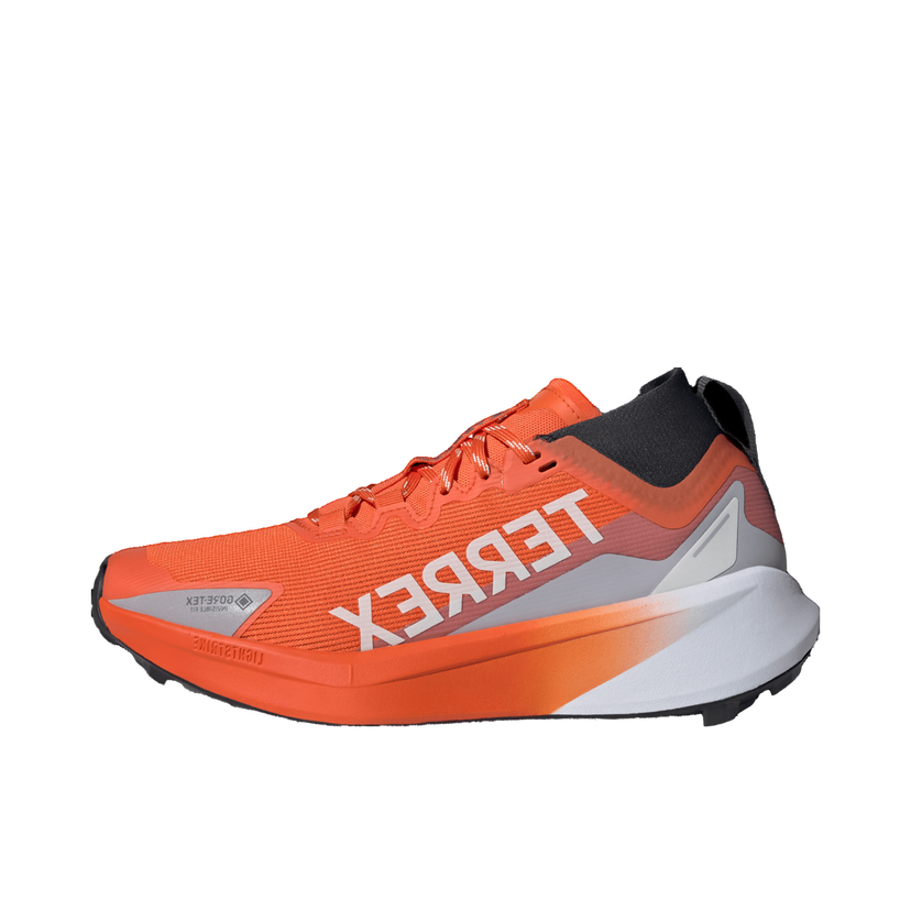 Superge in čevlji adidas Performance Terrex Agravic GTX Oranžna | jr5248