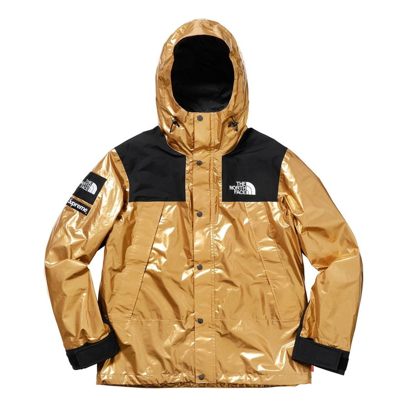 Parka Supreme The North Face Metallic Mountain Parka Kovinski | SUP-SS18-604