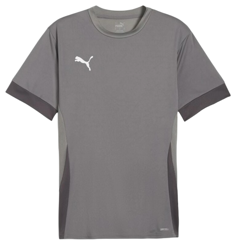 Dres Puma teamGOAL Matchday Jersey Siva | 705747-13