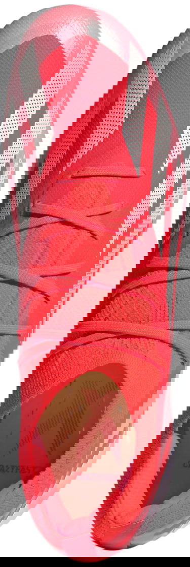 Superge in čevlji adidas Performance Crazyfast Elite FG Rdeča | IG0593, 1