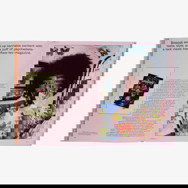 Knjige in revije gestalten The New Canabis Culture: High On Design Universal Večbarvna | 58807, 5