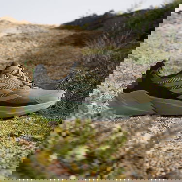 Superge in čevlji adidas Performance adidas TERREX TRAILMAKER 2 GORE-TEX Siva | IE5150, 3