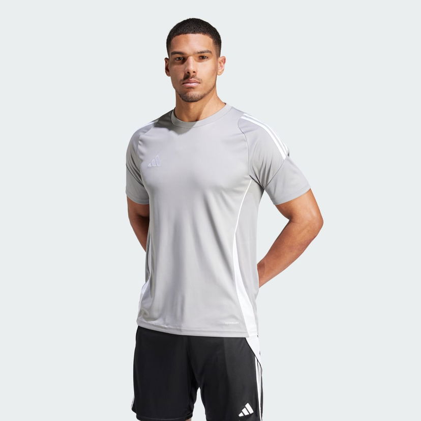 Dres adidas Performance Tiro 24 Siva | IS1012