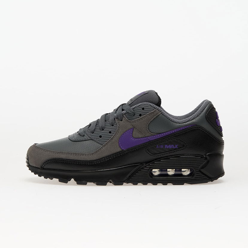 Superge in čevlji Nike Air Max 90 Lila | IF0670-004