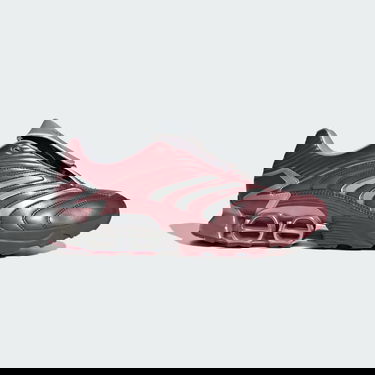 Superge in čevlji adidas Performance Predator Megaride Bordo | JS1554, 0