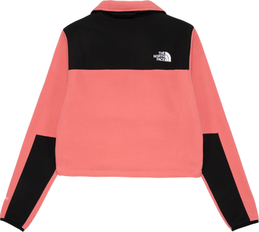 Pulover The North Face Sweatshirt Roza | NF0A7WXYN0T1, 1