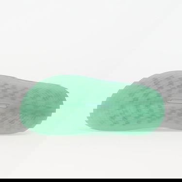 Superge in čevlji Reebok DMX Recovery Slide Zelena | 100221199, 1