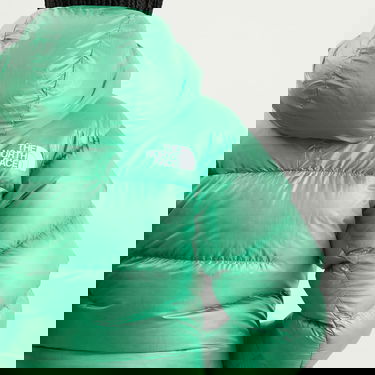 Parka The North Face Women's Summit Pumori Down Parka, Size Large Zelena | NF0A8C9KBOY, 5