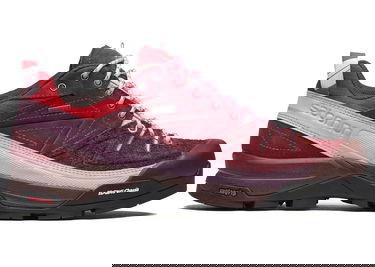 Superge in čevlji Salomon X-Alpages GTX The Broken Arm Bordo | L47346100, 0