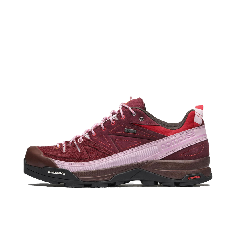 Outdoor Salomon X-Alpages GTX The Broken Arm Bordo | L47346100