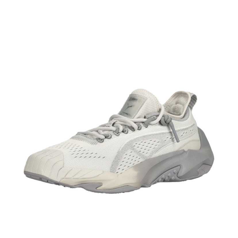 Superge in čevlji Puma Plexus 372.5 Siva | 395379