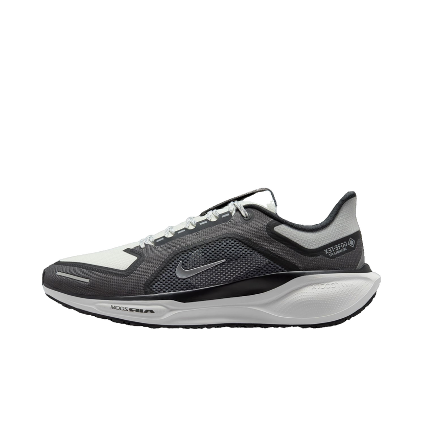 Tek Nike Pegasus 41 GORE-TEX Črna | fq1356-002