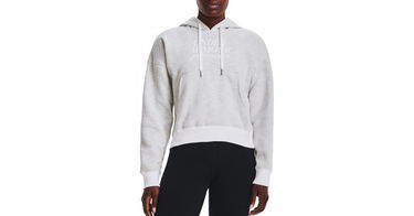 Pulover Under Armour Hoodie Essential Script Siva | 1374107-100, 1