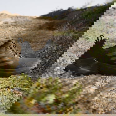 Superge in čevlji adidas Performance adidas TERREX TRAILMAKER 2 GORE-TEX Črna | IE5144, 3