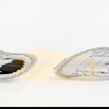 Superge in čevlji Salomon SPEEDCROSS 3 EXPANSE Bež | L47603900, 3