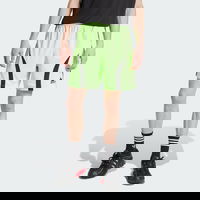 Adicolor Teamgeist Shorts