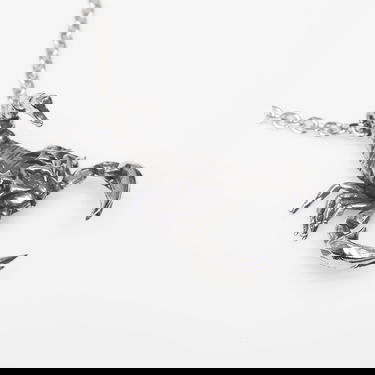 Ogrlica Wasted Paris U Bane Universal Scorpion Necklace Kovinski | WP_000314, 1