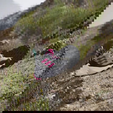 Superge in čevlji adidas Performance TRAILMAKER 2 GORE-TEX Siva | IE4841, 2