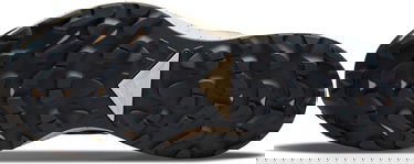 Superge in čevlji Nike Pegasus Trail 3 GTX Turkizna | dc8794-003, 1