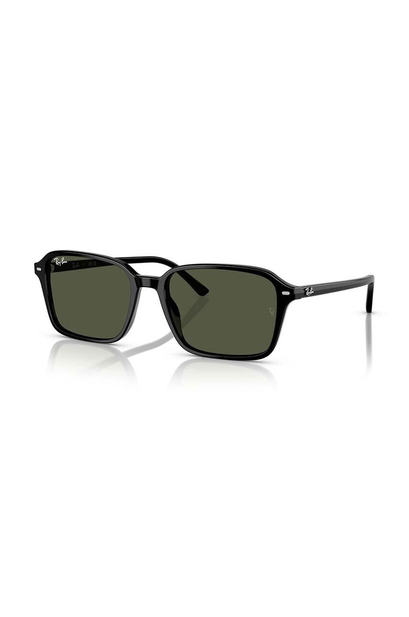 Sončna očala Ray-Ban Ray-Ban 0RB2231 Sunglasses Črna | 0RB2231.901/31