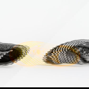 Superge in čevlji adidas Performance Slam Jam x F50 Sala "Croc Gum" Zelena | JR2201, 3