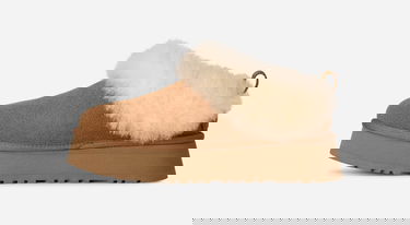Superge in čevlji UGG Tazzelle Slippers Rjava | 1171393-CHE, 2