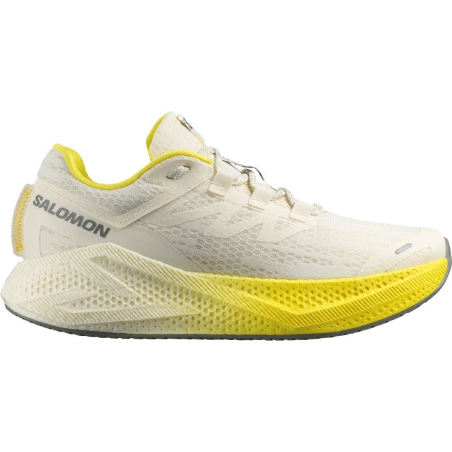 Superge in čevlji Salomon Aero Glide 3 Večbarvna | L47975900