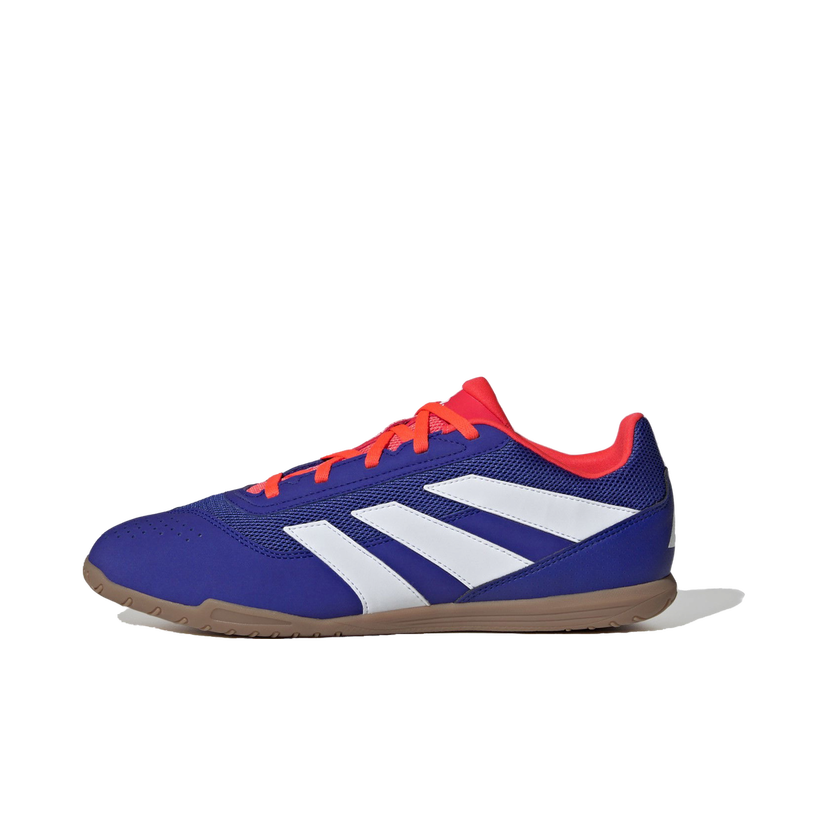 Superge in čevlji adidas Performance Predator Club Indoor Modra | IF6403