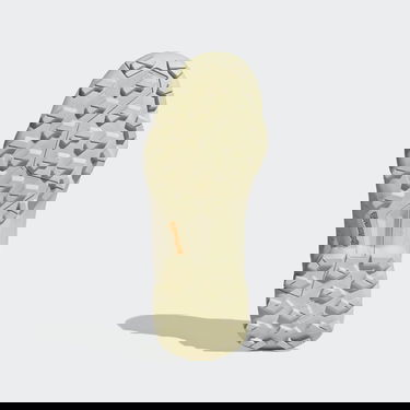 Superge in čevlji adidas Performance Terrex Swift R3 Hiking Bež | GZ3047, 2