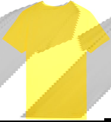 Dres Puma teamGOAL Jersey Rumena | 658638-07, 1