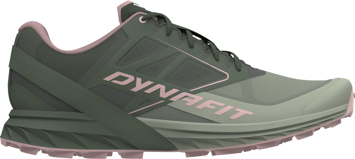Superge in čevlji Dynafit ALPINE W Zelena | 08-0000064065-5654, 0