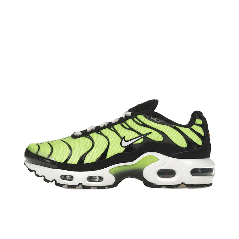 Superge in čevlji Nike Air Max Plus Zelena | CD0609-301