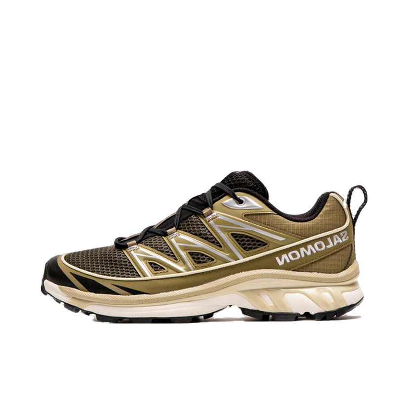 Superge in čevlji Salomon XT-6 Expanse Seasonal Zelena | L47748600