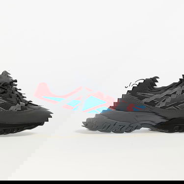 Superge in čevlji Reebok DMX Trail Shadow Classic Siva | IE2154, 1